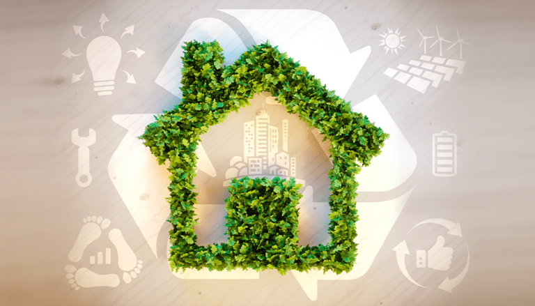 Living Green: Simple Steps to a More Sustainable Life