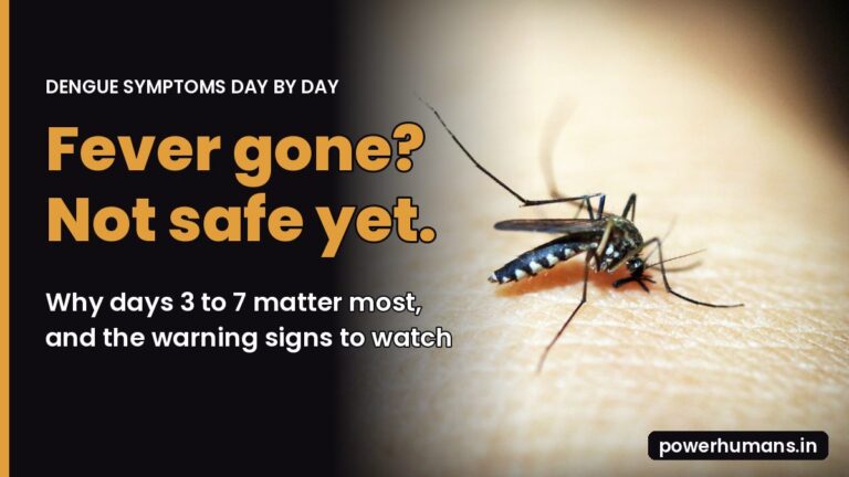 Dengue Symptoms Day by Day: Why the Danger Comes When the Fever Breaks (Platelets, Tests and Warning Signs)