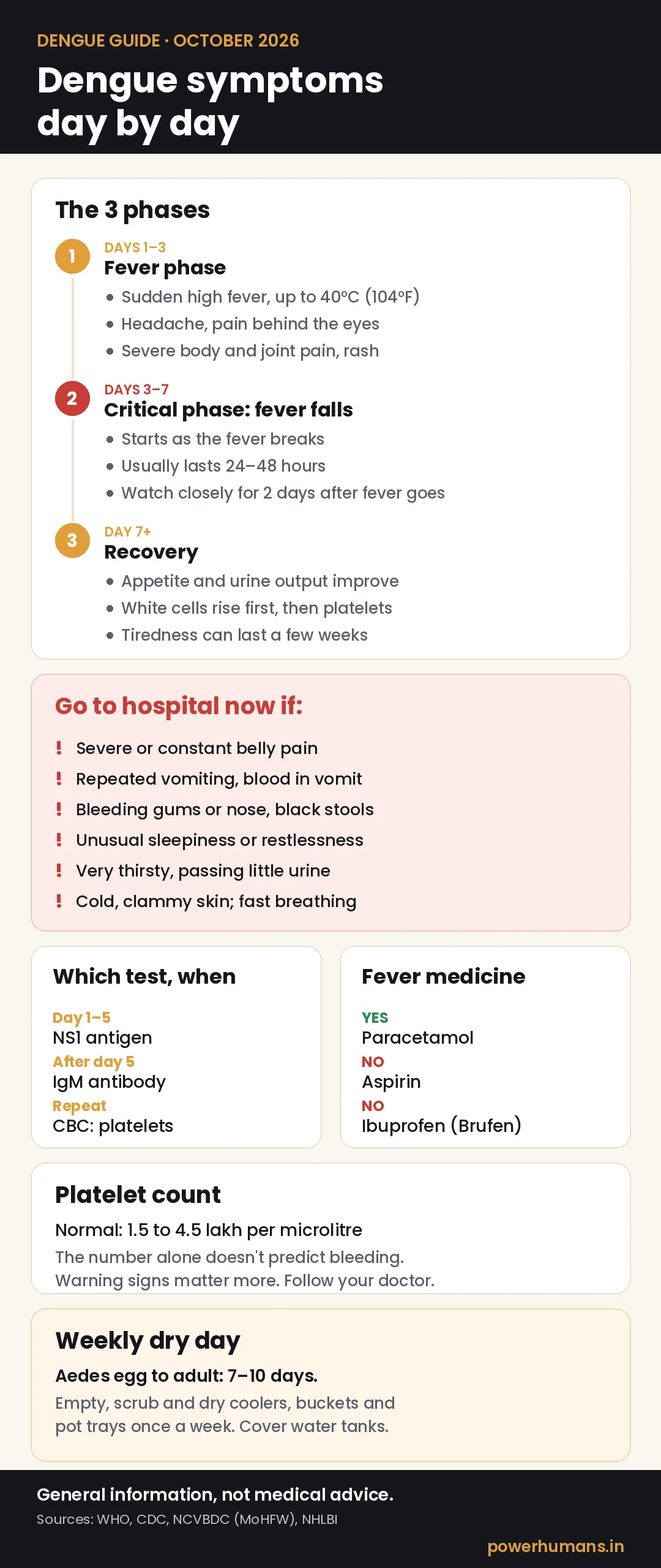 Infographic: dengue symptoms day by day, warning signs, which test to take when, and the weekly dry-day prevention rule